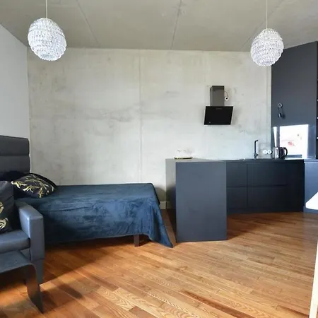 Apartment Modern Near The Bus Station And The Airport Tallinn